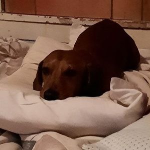 Meet your Posher, Jeremy